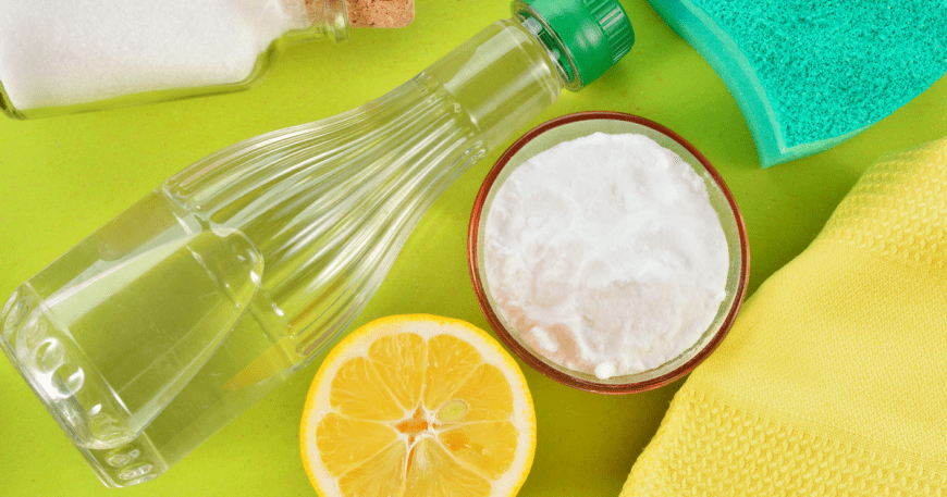 Green Cleaning Tips and Polti Moppy Review