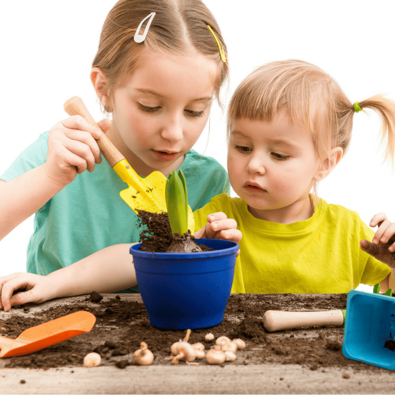 Gardening is Fun For the Entire Family