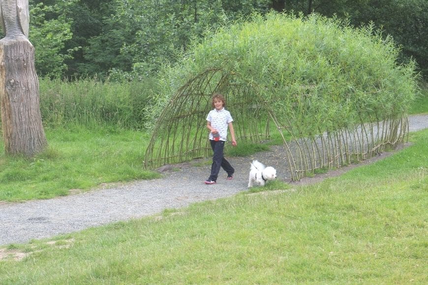 Dalby Forest North Yorkshire