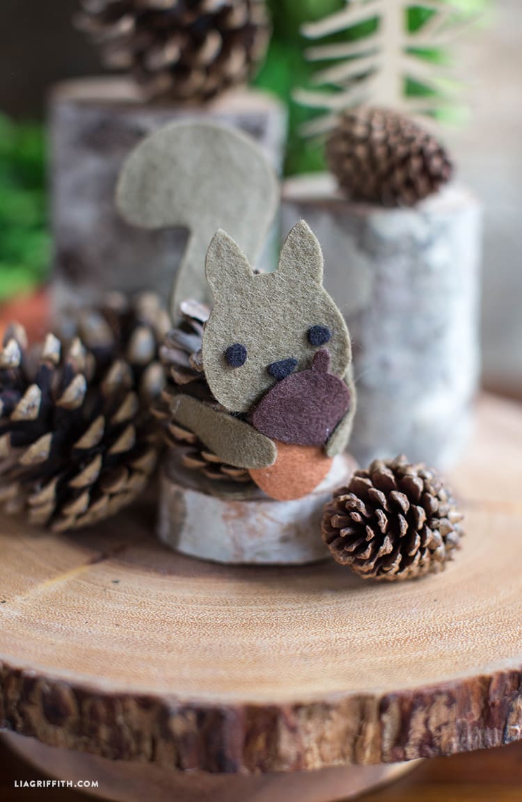 Pinecone Squirrel