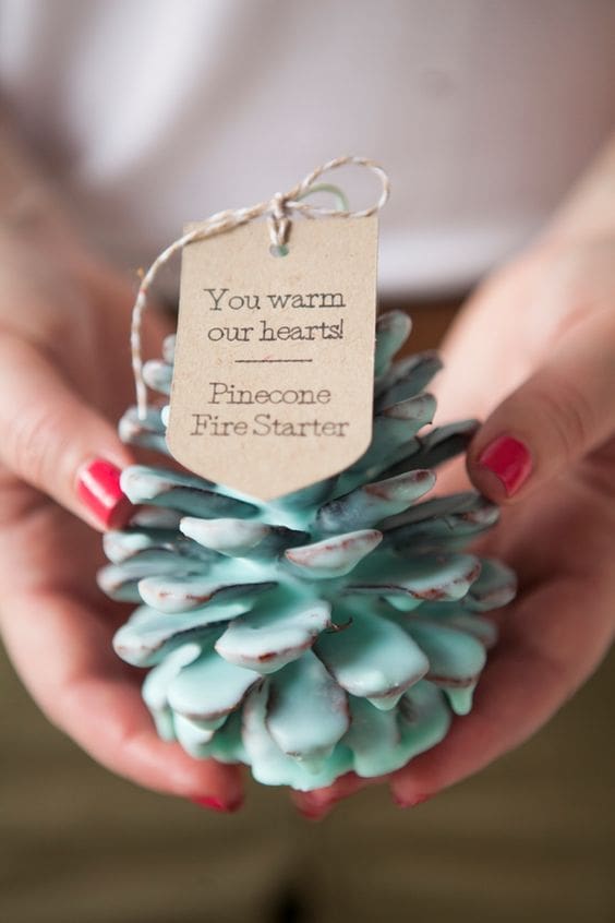 Pinecone Fire Starter