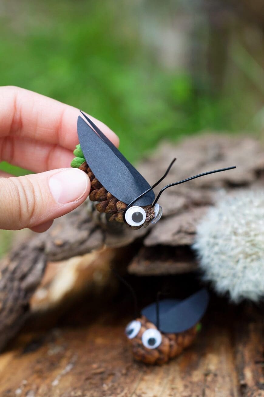 Pinecone Fire Flies