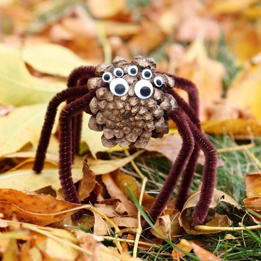 Pinecone Spider