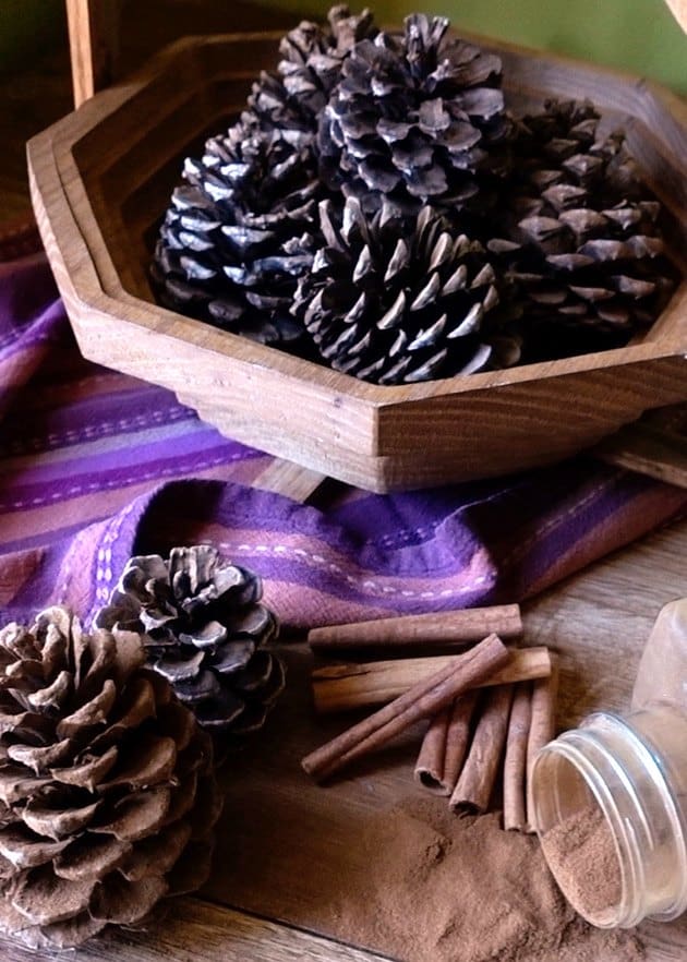 Cinnamon scented pinecones