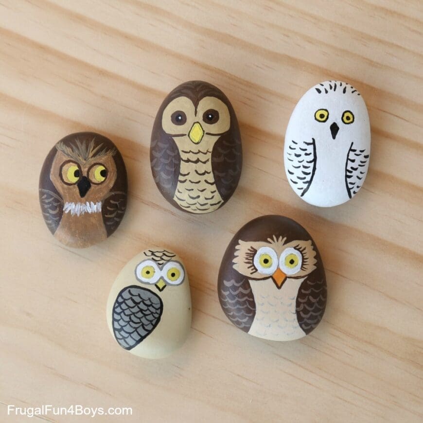 Owl Rocks