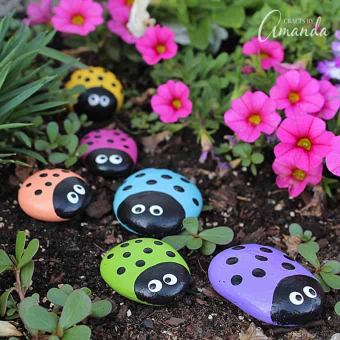 Ladybird rocks