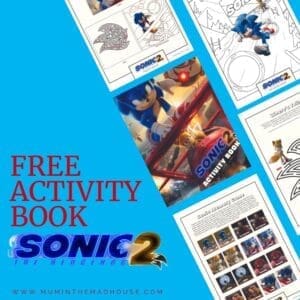 Sonic 2 Booklet