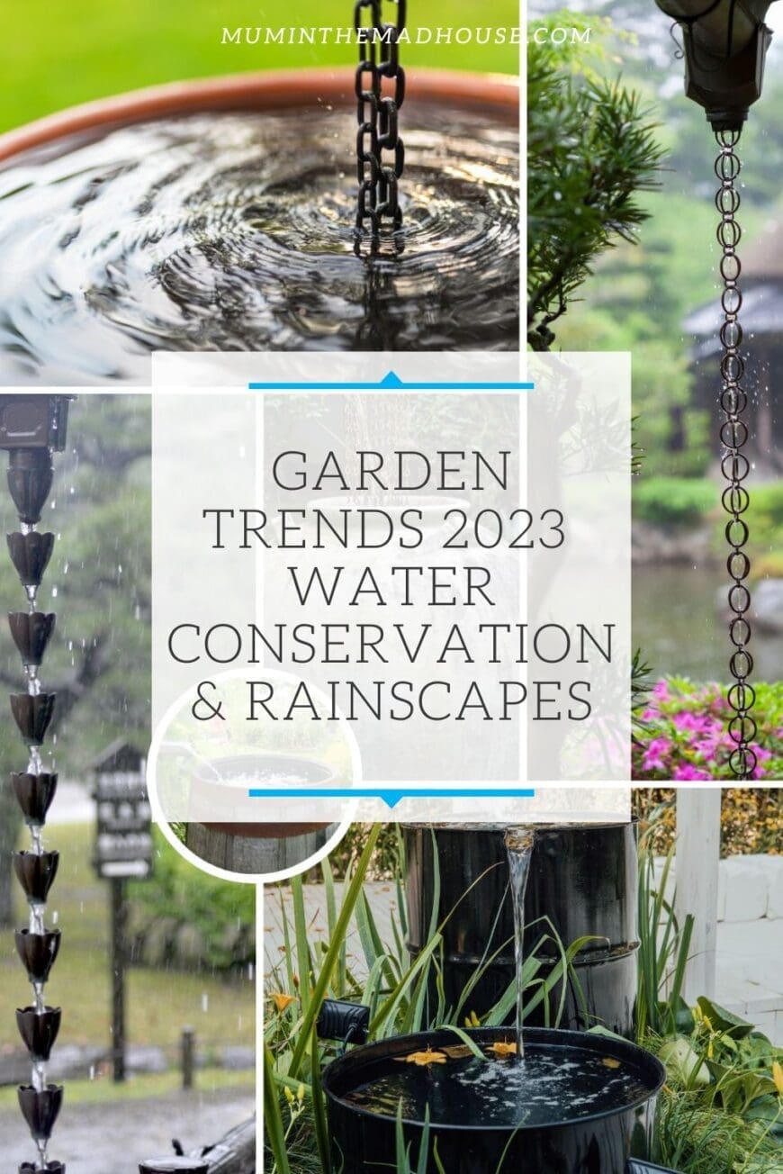 Key Garden Trends for 2023