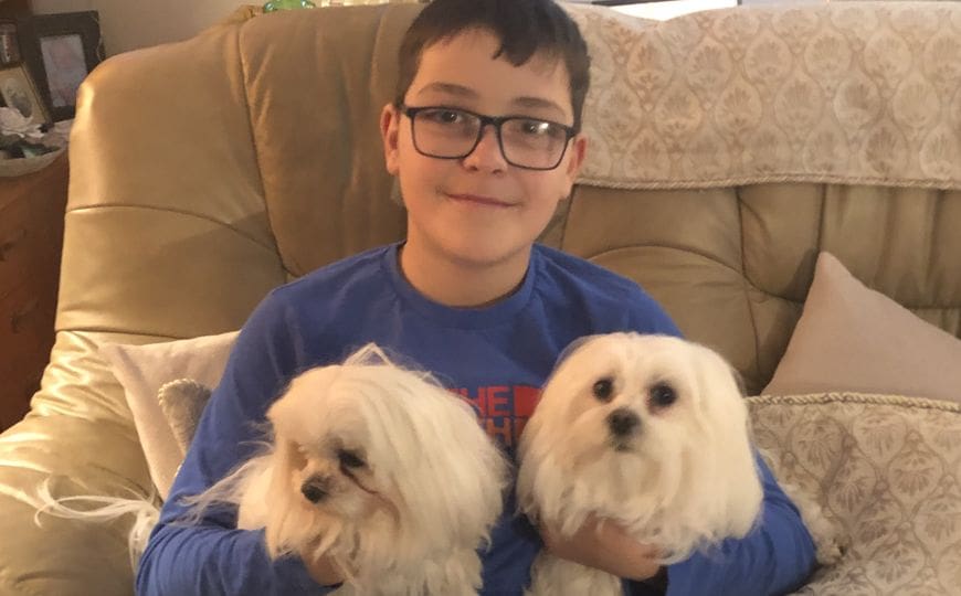 Dog with two white dogs on his knee