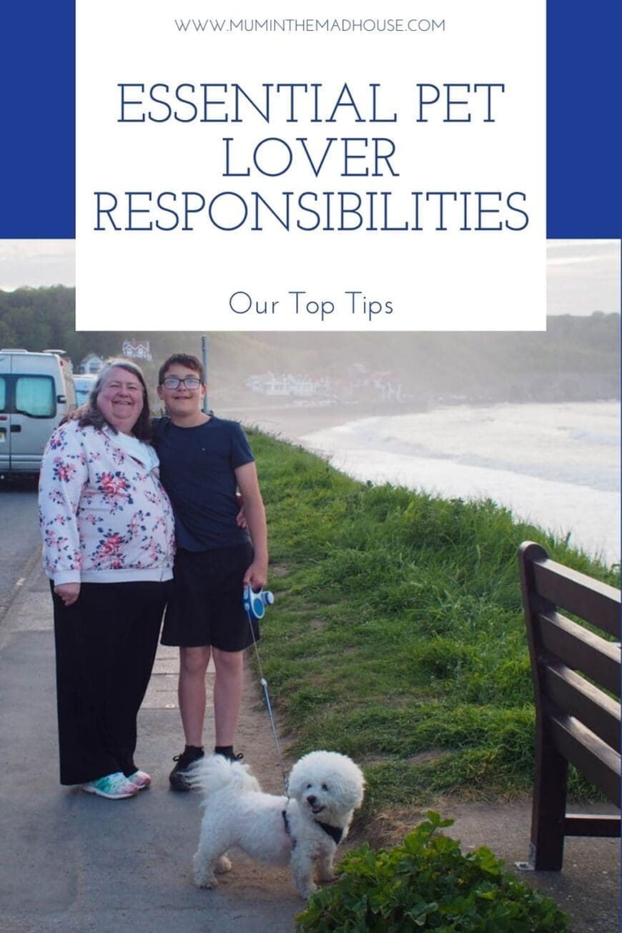 Discover vital pet lover duties you can't overlook! Uncover key responsibilities for a happy, healthy furry friend. Your guide to being a responsible pet lover.