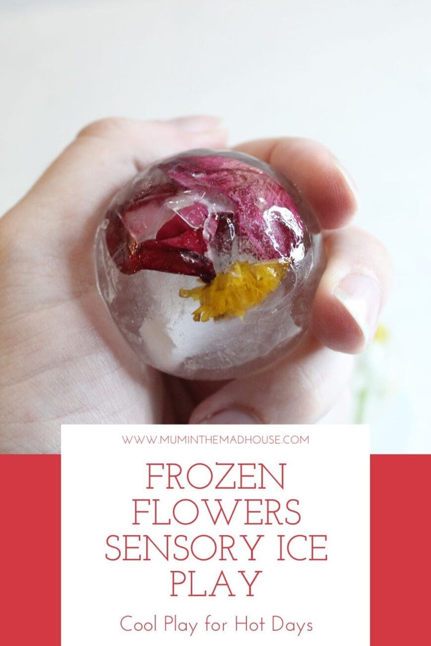 Experience a refreshing and fun sensory playtime for hot days with our Frozen Flowers Sensory Ice Play. This interactive activity is not just about cooling off, but also about nurturing your child's sensory perception and creativity. Dive into a world of frosty delights and watch as your little ones discover, explore, and create with frozen flowers and ice play.