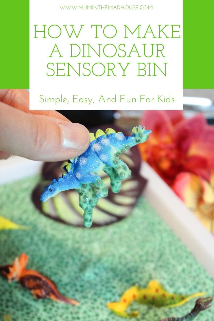 Discover how to create a unique and engaging Dinosaur sensory bin for your kids. Our Dino swamp will provide hours of fun and learning for your little ones