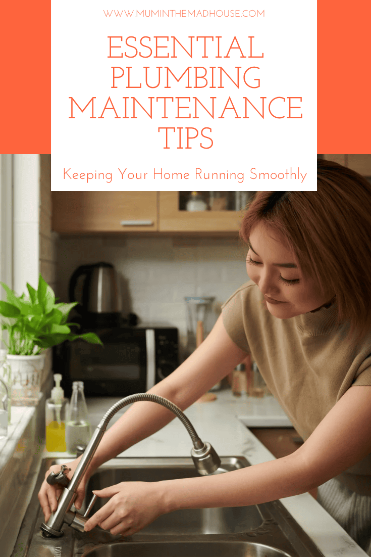 If you do some simple plumbing maintenance and checks you can help ensure things last for longer in your home