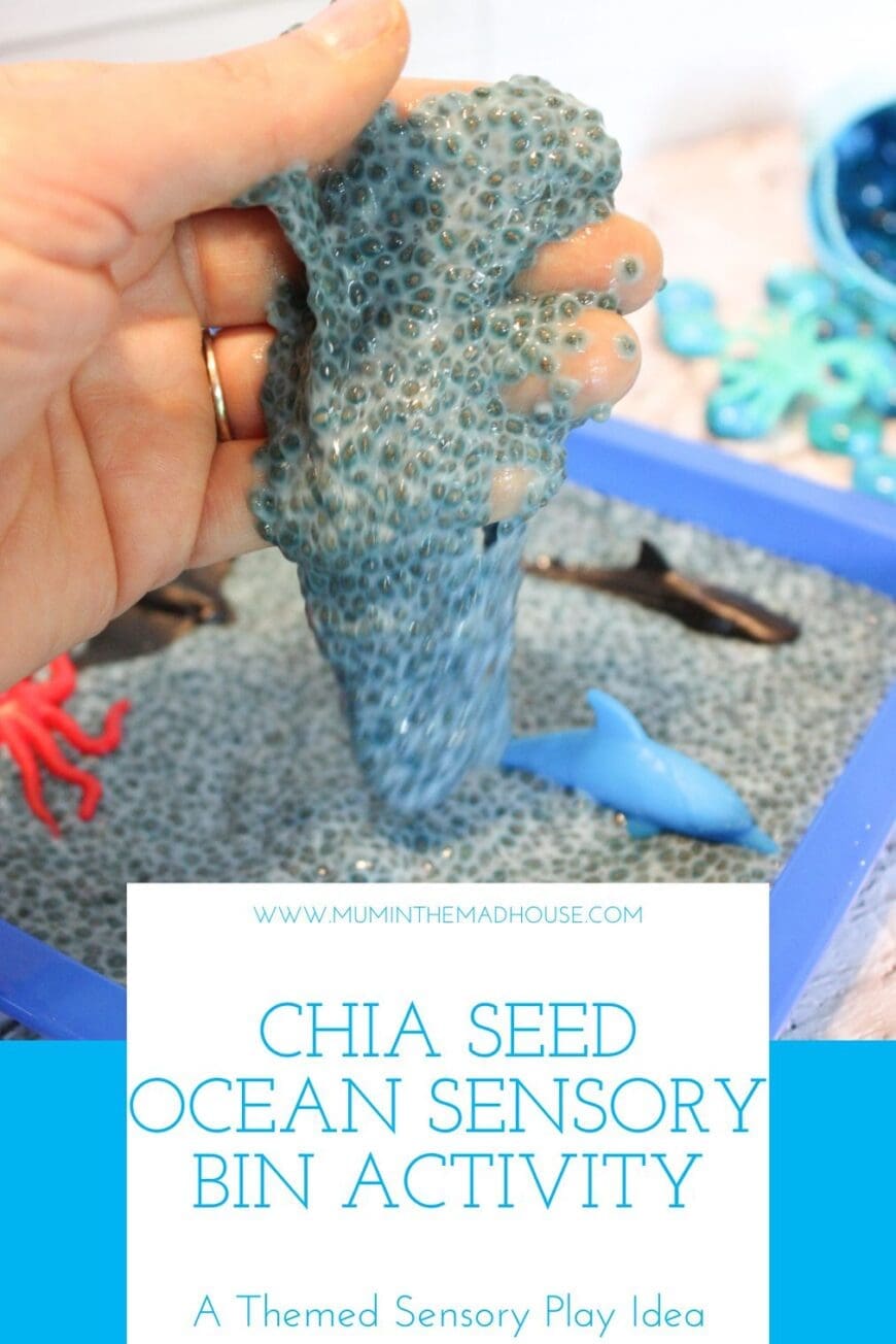 Engage your child's senses with this fun ocean-themed sensory bin activity using chia seeds to create a unique sea environment. This hands-on play idea will provide hours of entertainment for your little one.