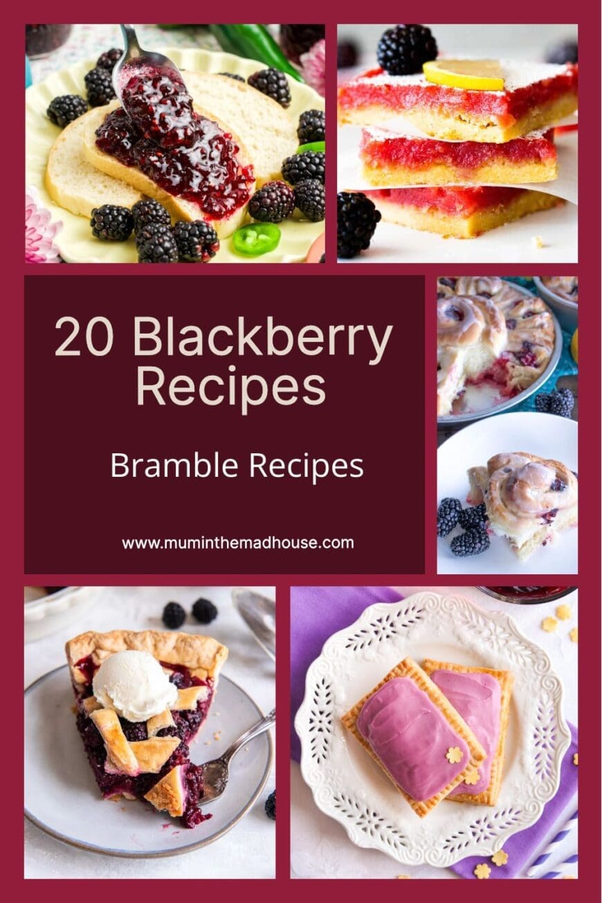 Unveil the hidden treasure of your kitchen with '20 Brilliant Blackberry Recipes'. Whether you're looking for something savory or sweet, each recipe is a culinary masterpiece guaranteed to leave you asking for seconds. Experience the magic of blackberries like never before, and let this selection of recipes inspire your next kitchen adventure.