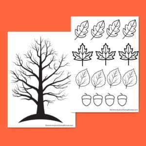 Autumn Leaves and Tree