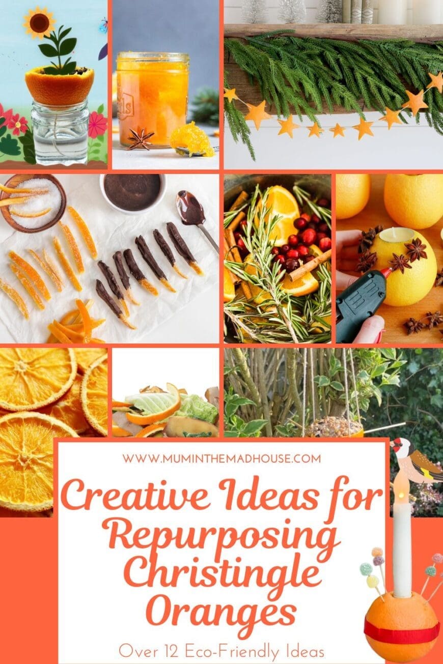Turn your leftover Christingle orange into something beautiful, delicious, or useful. Explore eco-friendly DIY projects and festive fun ideas here!