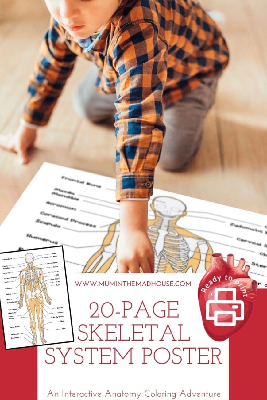 Help kids learn the bones of the human body with this fun and free giant skeletal system coloring poster! With 20 pages to assemble, it’s a creative and educational project for school or home
