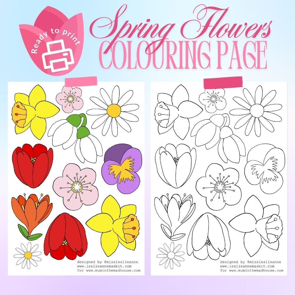 Spring Flower Colouring Page and Pre Coloured Bonus Page