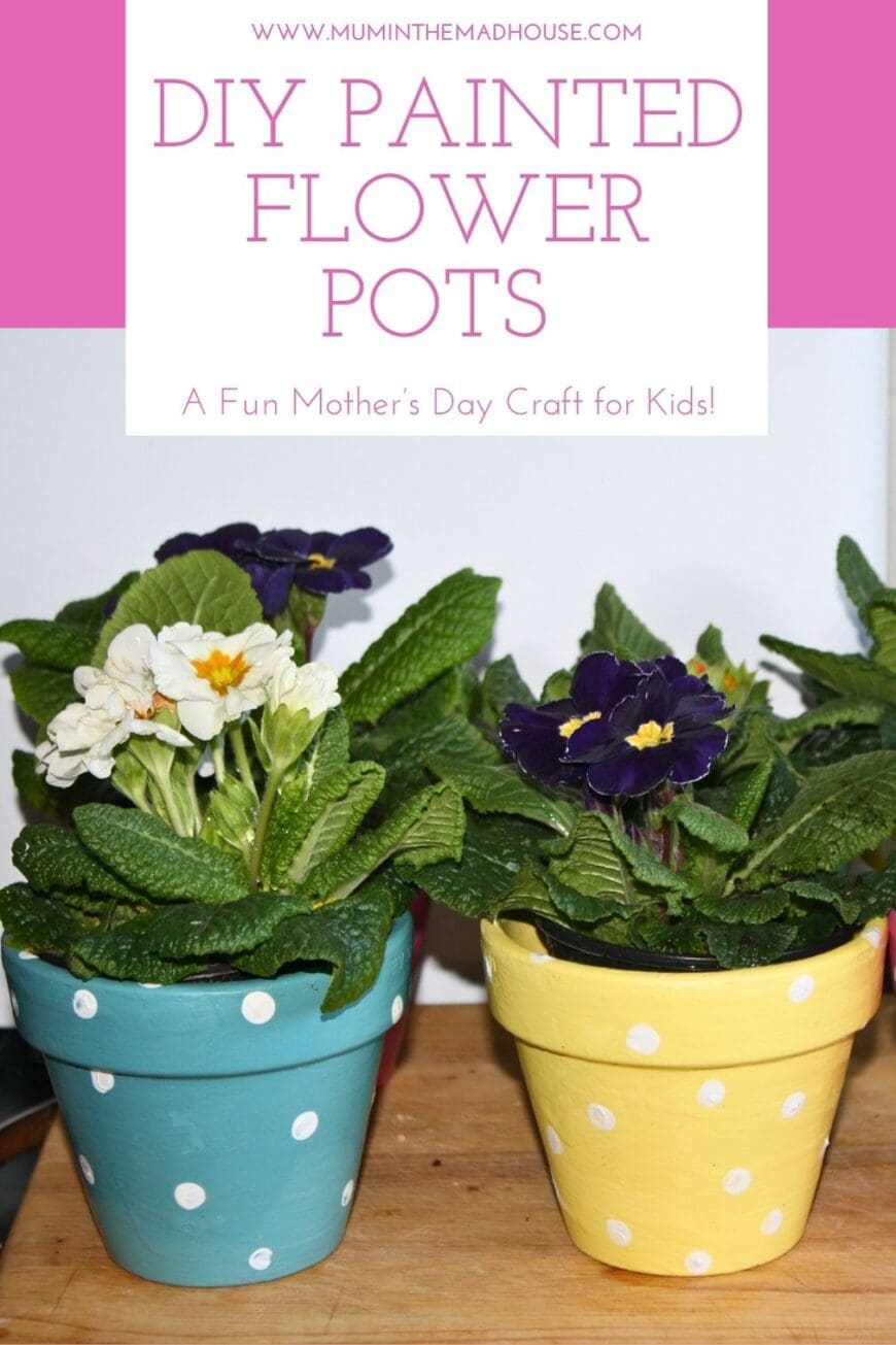 A close-up of beautifully painted terracotta flower pots in pastel colors with white polka dots, each filled with vibrant blooming primula flowers. The text overlay reads “DIY Painted Flower Pots – A Fun Mother’s Day Craft for Kids!” from Mum in the Mad House.