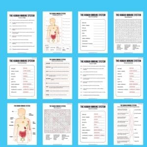 Download the Free Human Immune System Activity Pack