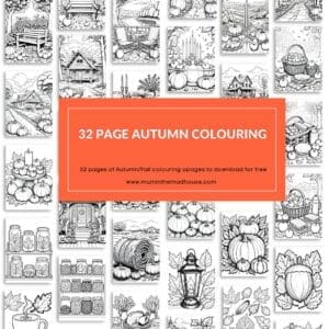 Download Your Free 32-Page Autumn Colouring Book
