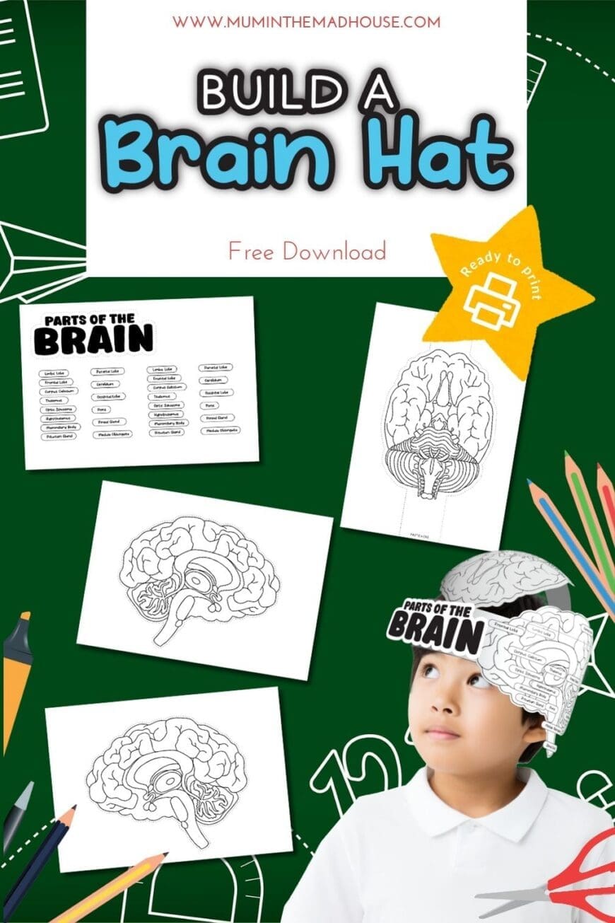Printable Build a Brain Hat activity for kids featuring labelled brain diagrams and a child wearing the assembled brain hat.