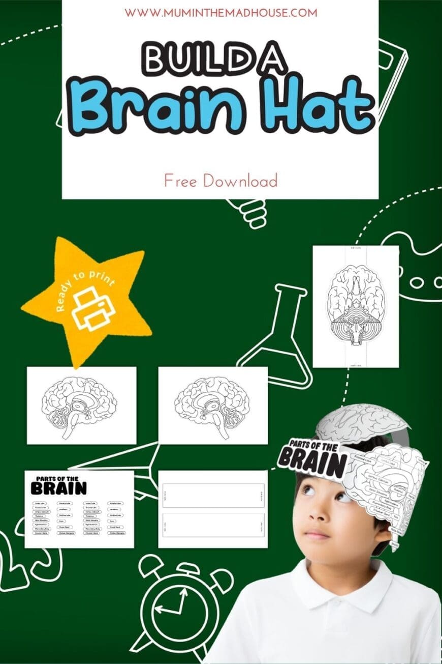 arts of the brain printable activity showing cut-and-colour brain diagrams and a child wearing a completed brain hat craft.
