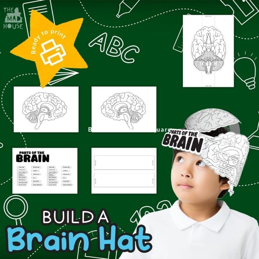 Download Your Free Build a Brain Hat Printable
