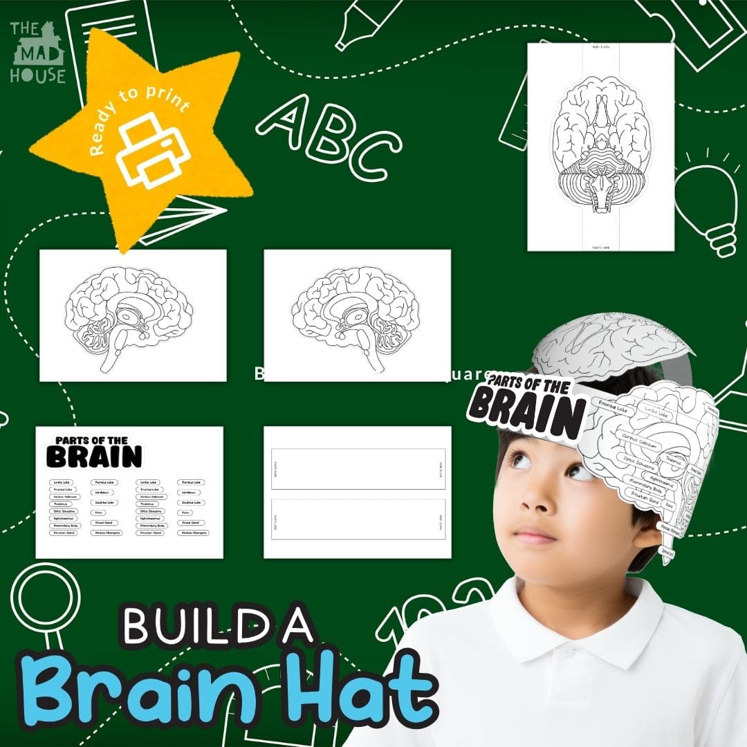 Download Your Free Build a Brain Hat Printable