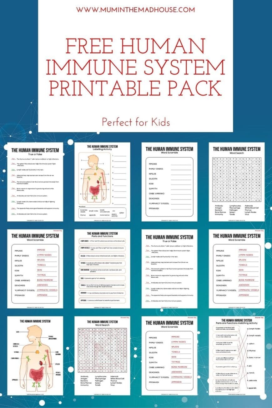 Help kids understand how their body fights germs with this free Human Immune System printable pack! Includes labelling, a word search, matching activities and more. Great for home learning or classroom science.