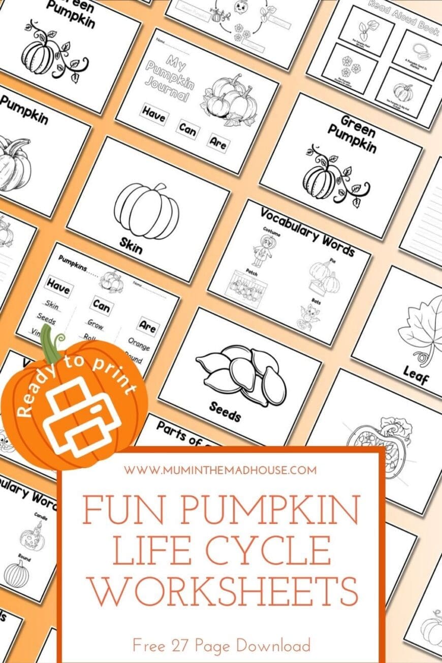 Teach the stages of a pumpkin’s growth with this free pumpkin life cycle printable pack. Perfect for home or classroom!