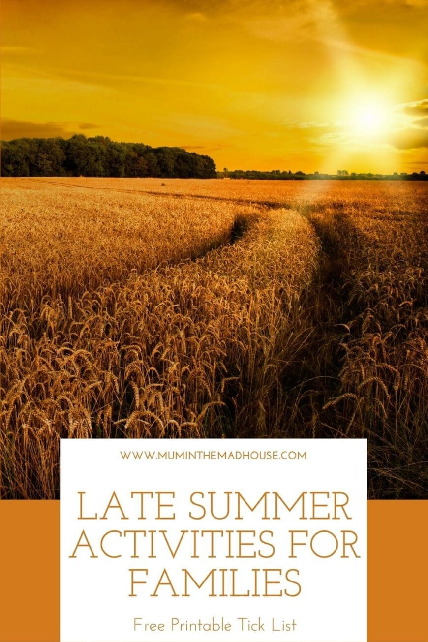 Explore 15+ fun and easy activities to enjoy with your children in late summer. Forage blackberries, make rose petal jam, press flowers, look for bats and butterflies, and more! Perfect for home educators and outdoor-loving families.