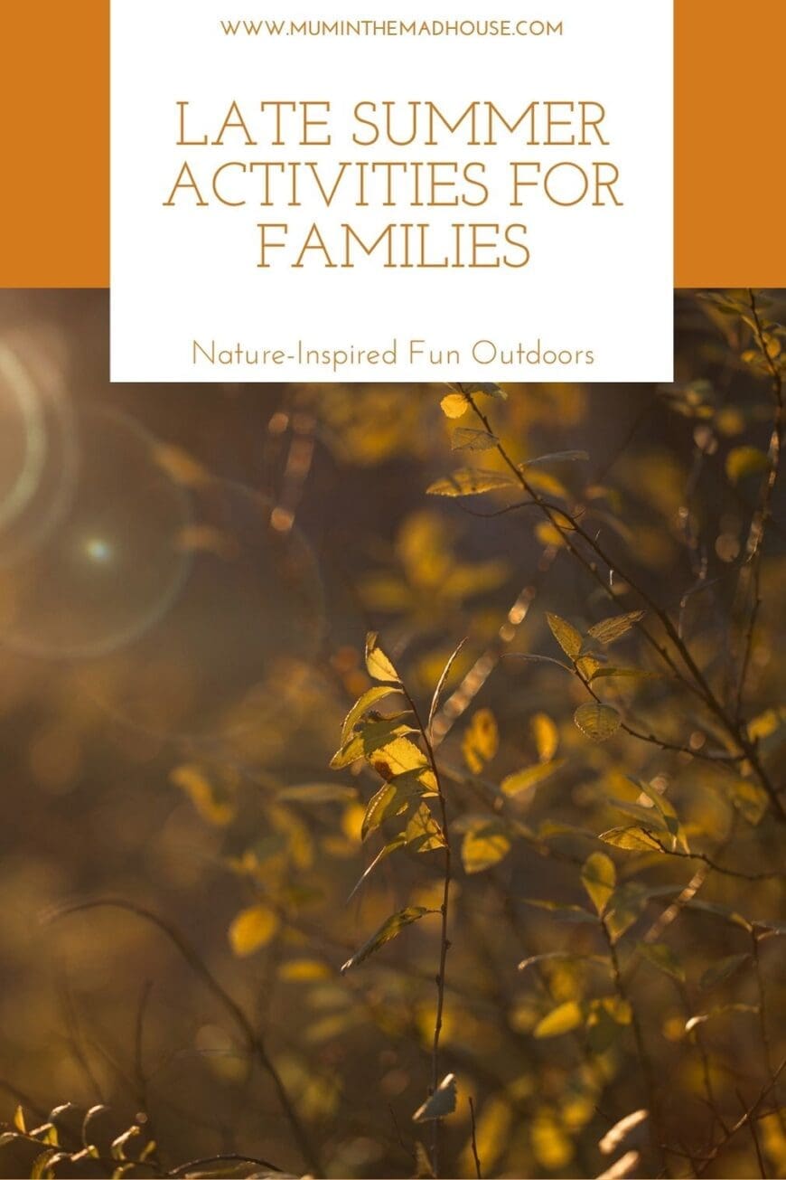 Looking for ideas to enjoy the last days of summer? This free printable late summer activities tick list is full of nature-based fun for kids and families! Includes foraging, crafts, wildlife spotting and more