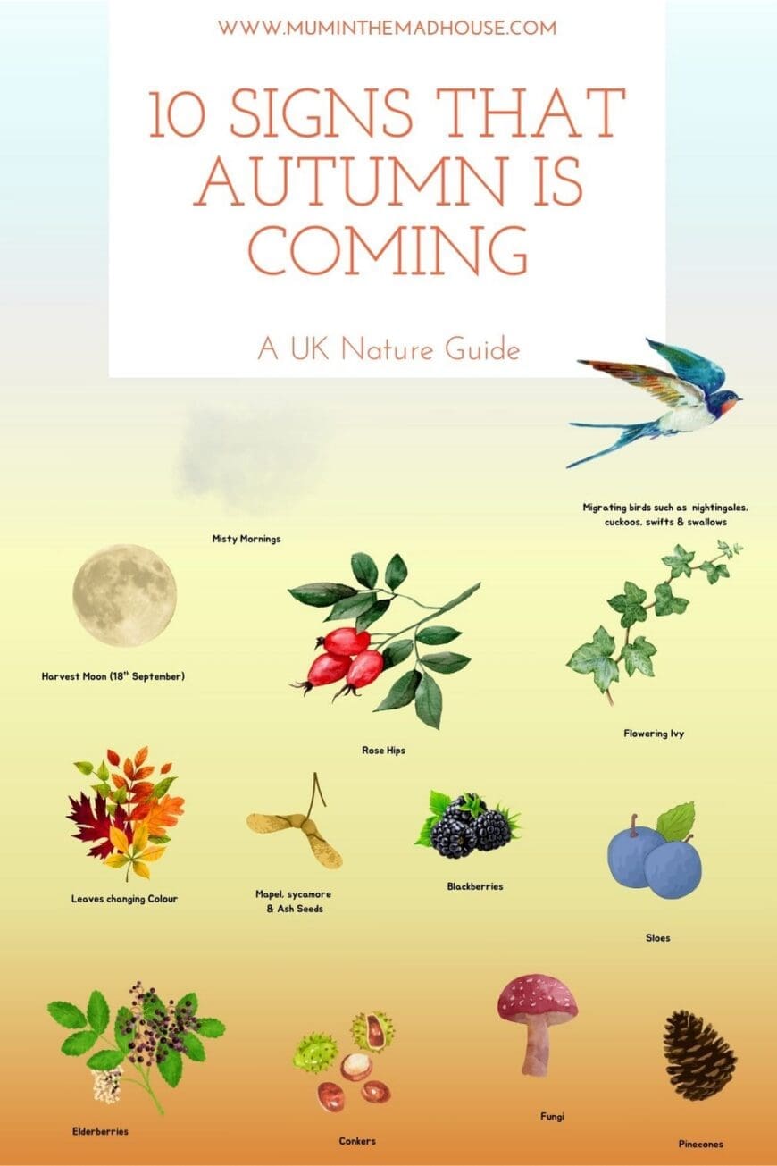 s autumn on its way? Discover 10 tell‑tale signs—from helicopter seeds and conkers to blackberries and fungi—and learn what makes this time of year so special. Get inspired with easy ways to enjoy the outdoors with kids and make the most of the harvest season.