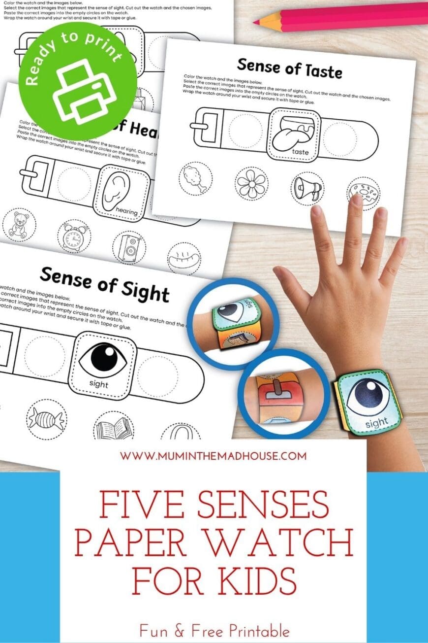 Make learning fun with this free printable Five Senses Paper Watch! Kids can colour, cut, and match each sense while learning about sight, smell, hearing, touch, and taste. Perfect for preschoolers and early learners.