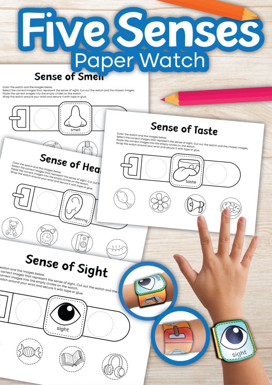 Explore the senses with this free printable paper watch! A great way to combine learning and creativity for little hands. Download, print, and craft today!