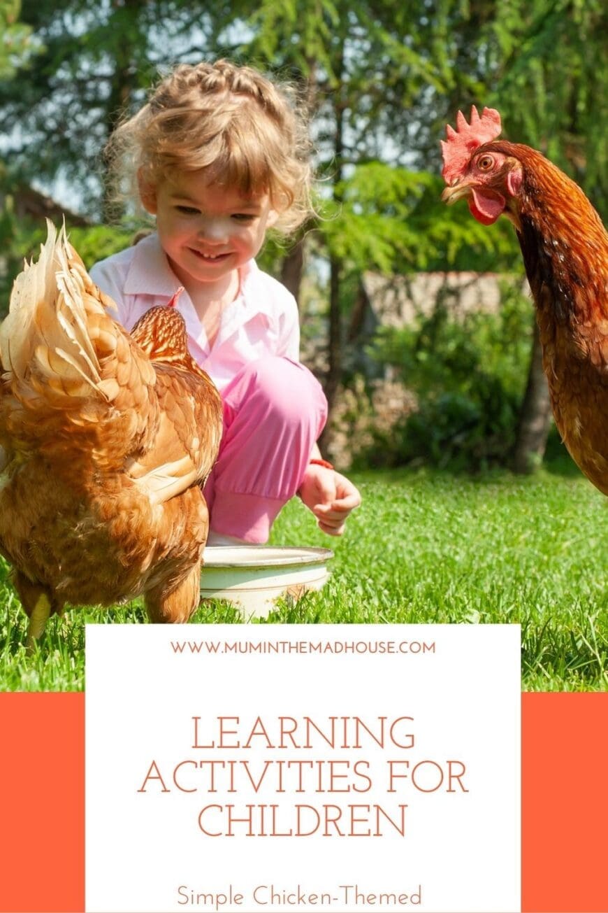 Looking for creative ways to teach kids about chickens? Try these engaging activities — from egg-collecting games to anatomy matching and coop design challenges. Ideal for farm schools, backyard chicken owners, and curious young learners!