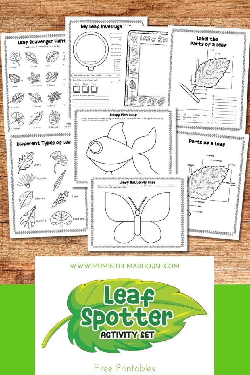 Looking for an easy autumn activity? Download this free eight-page leaf printable pack featuring a Leaf Spotter, scavenger hunt, investigation sheet, leaf science worksheets and two creative crafts. Just print it, collect some fallen leaves and start exploring.