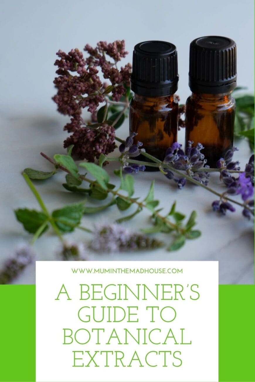 Explore common botanical extract types, basic production methods and popular applications across beauty, nutrition and wellness. Save this simple introductory guide for later.