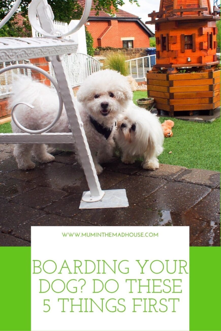 Planning your dog’s first boarding stay? Use this practical checklist to organise health records, pre-portioned meals, medication instructions and comforting items before drop-off day.
