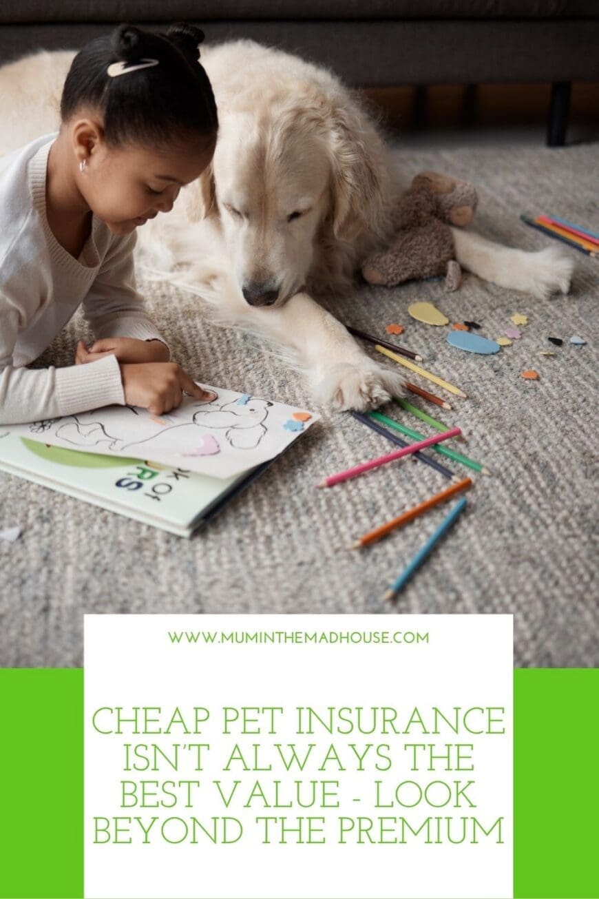 A low premium may come with limited benefits or major exclusions. Discover how to compare accident-only, accident and illness, and comprehensive pet insurance to find affordable, meaningful protection.