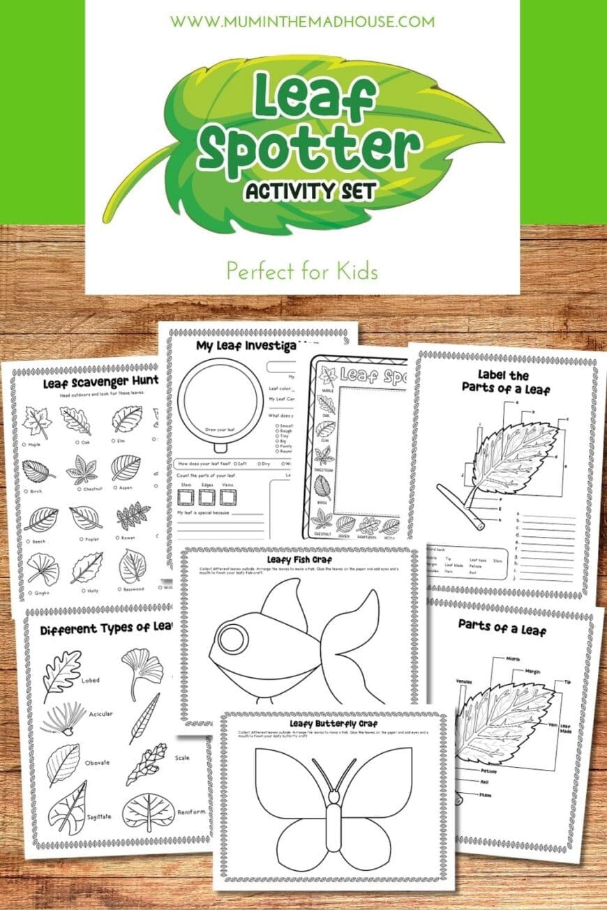 Make your next nature walk an adventure with this free printable Leaf Spotter activity set. Children can hunt for leaves, investigate their finds, learn leaf shapes and parts, and create a leafy fish or butterfly. A fun outdoor learning activity for autumn, homeschool, classrooms and family days outside.