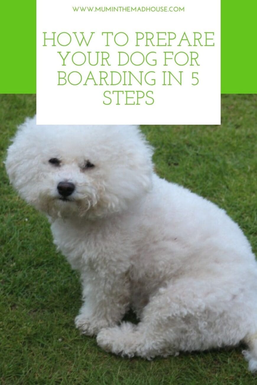 Help your dog feel more comfortable during their boarding stay. Follow five simple preparation steps covering a trial visit, vaccinations, food, medication, familiar items and a calm goodbye.