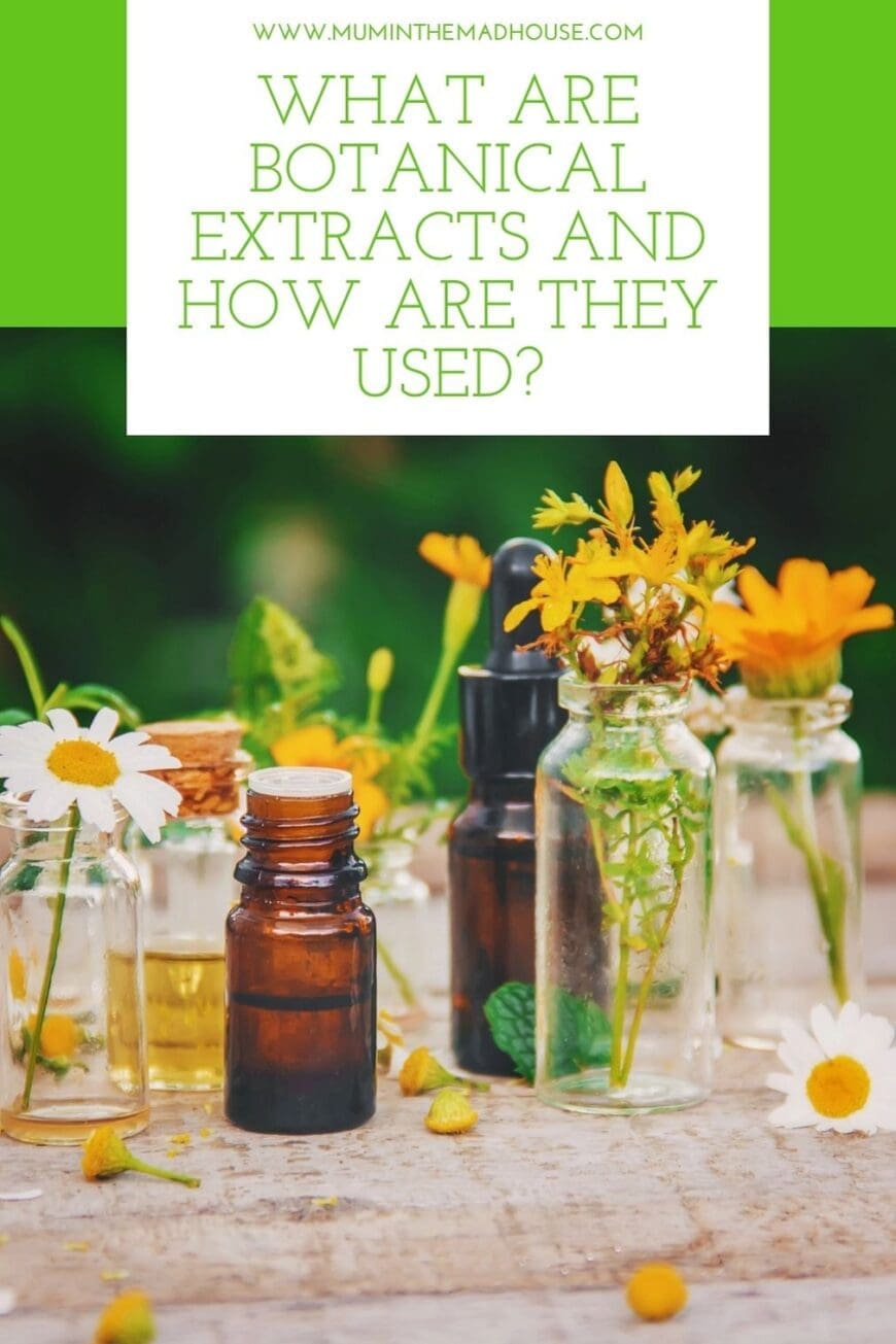 Curious about botanical extracts? Learn how plant compounds are concentrated and used in skincare, food, drinks, supplements and other modern wellness formulations.