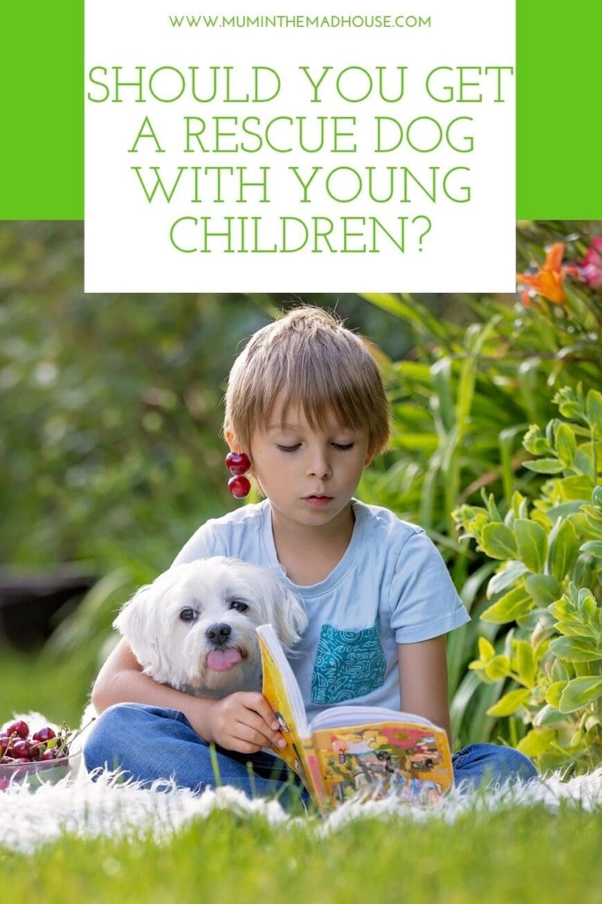 Thinking about adopting a rescue dog? Find out how to choose a family-friendly dog, what to ask the rescue centre and how to prepare young children for their new pet. This practical UK guide also covers safety, costs, health records and the rescue dog 3-3-3 rule.