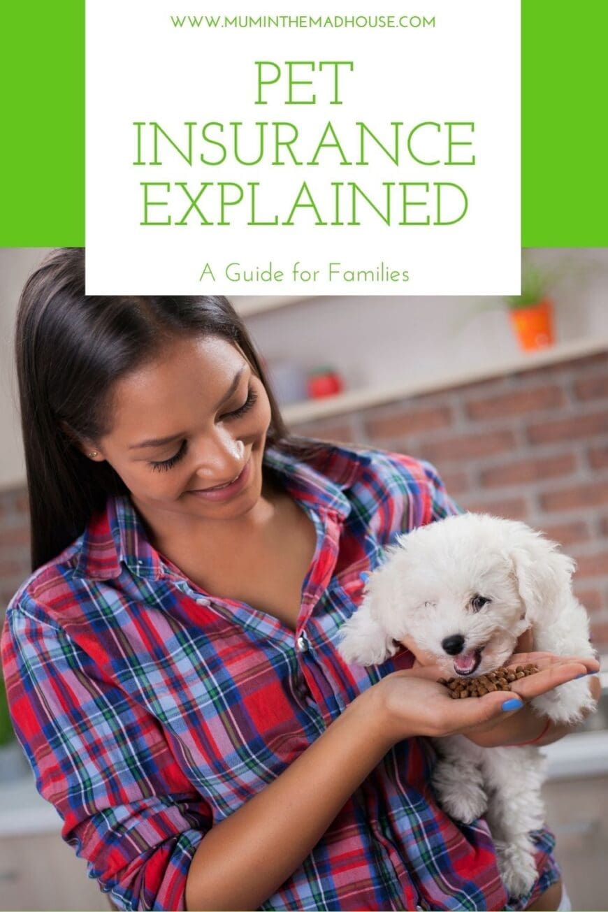 Wondering how pet insurance works? Explore costs, coverage, dental care and questions to ask when comparing options for your family’s dog or cat.