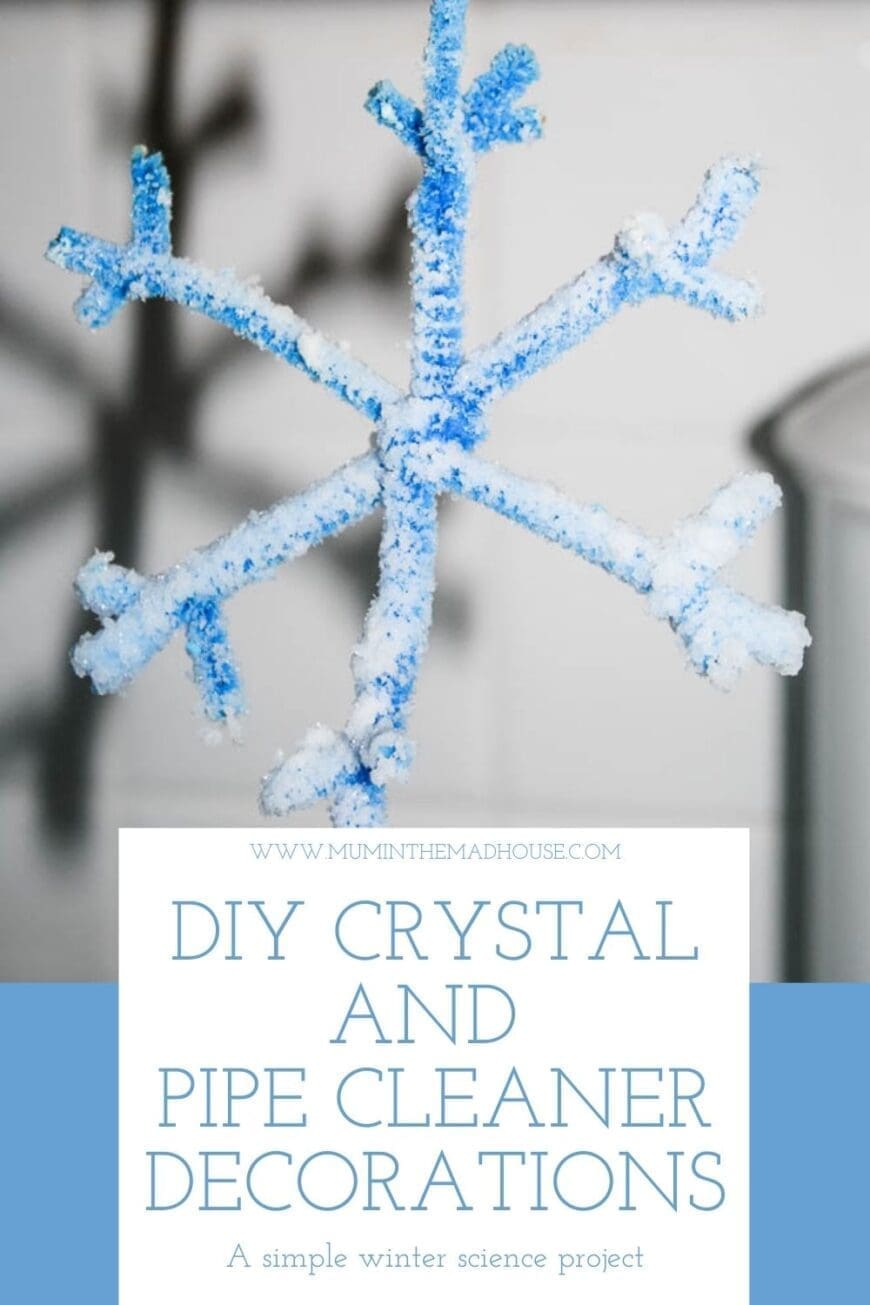 Make safe and sparkling pipe cleaner ornaments with a borax-free solution! A fun STEM craft for kids that grows crystals overnight for Christmas décor.