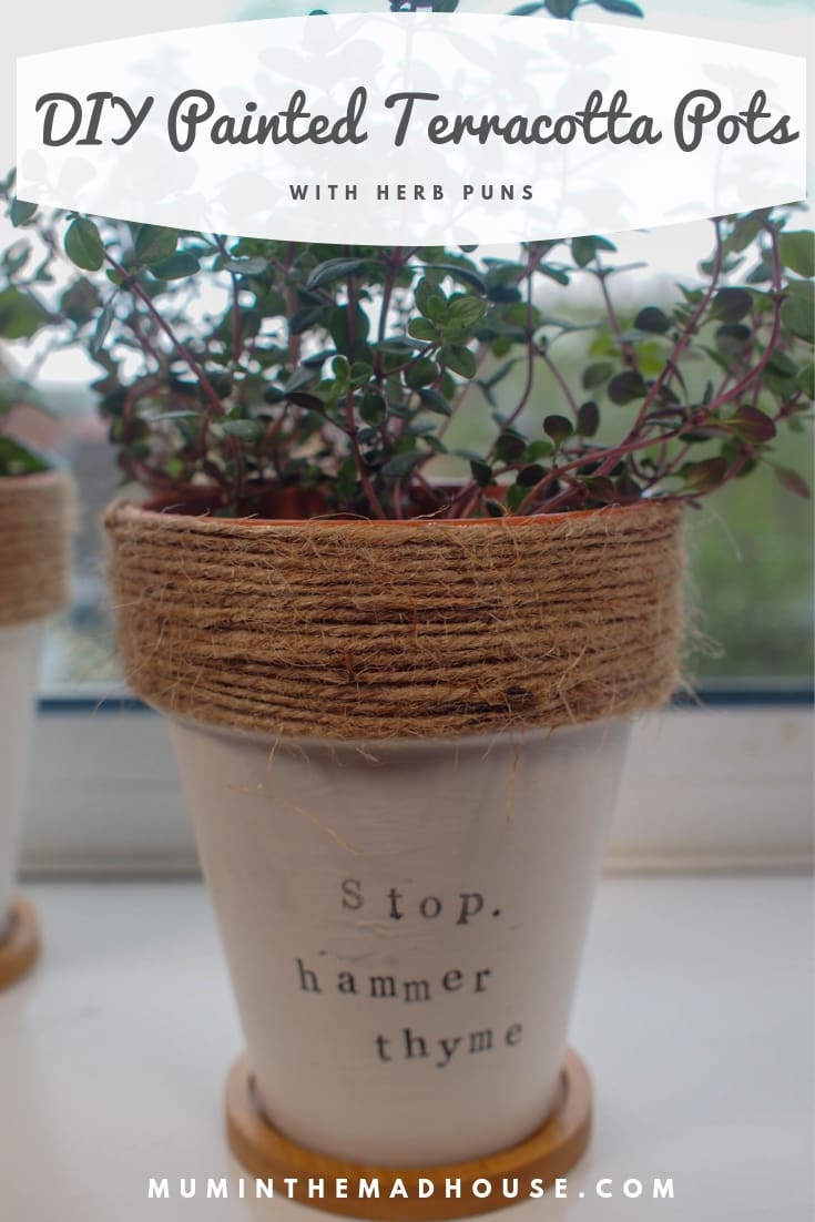 How to make DIY Painted Terracotta Plant Pots. These are the perfect handmade gift for any plant lover and super simple to make.