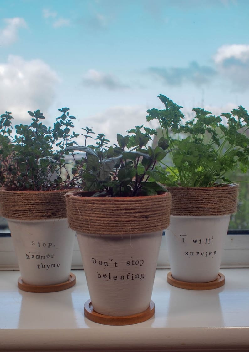 These Painted Terracotta Plant Pots with herb puns are a simple but effective craft upcycle perfect for any foodie or gardener.